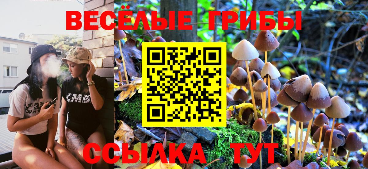 Сыктывкар  Галлюциногенные грибы Cubensis  что такое наркотик  Псилоцибиновые грибы GOLDEN TEACHER  Вход с VPN 