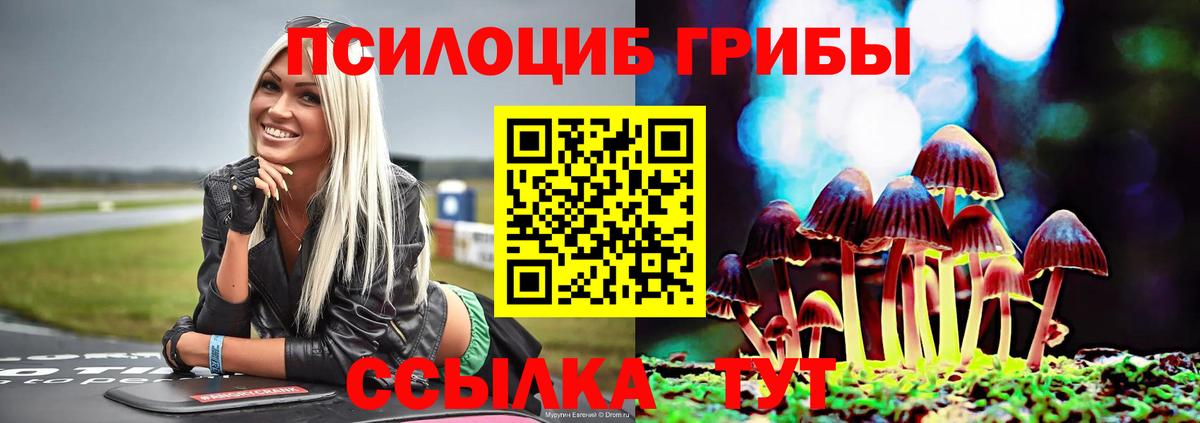 Псилоцибиновые грибы ЛСД Сыктывкар