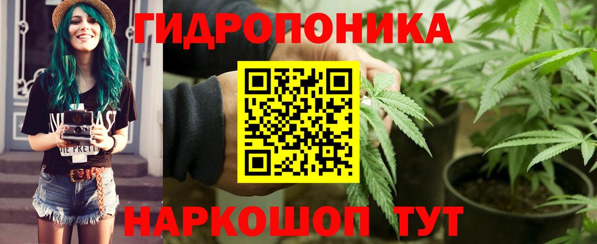 Сыктывкар  МАРИХУАНА VHQ  Марихуана конопля  Бошки марихуана марихуана  Вход с VPN 